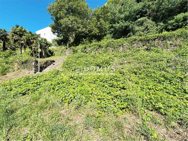 Terreno edificabile a Brissago 3