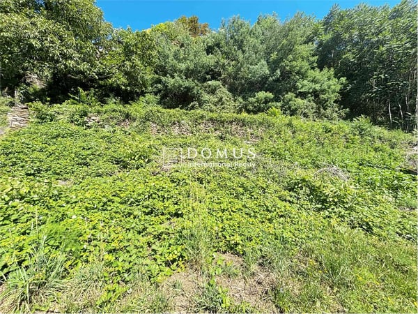 Terreno edificabile a Brissago 5