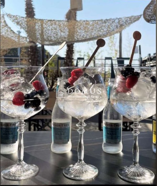 Rstorante/pizzeria a Lugano, vista lago 19