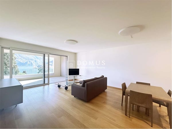 Confortevole 1.5 con vista lago 4