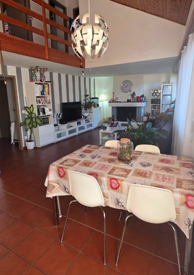 Dining room with dining table, chairs, fireplace, TV, shelves, plants, chandelier