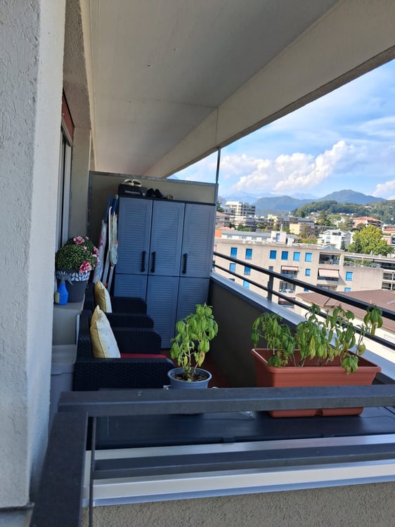 Cercasi subentrante per luminoso appartamento di 2.5 locali a Lugano 3