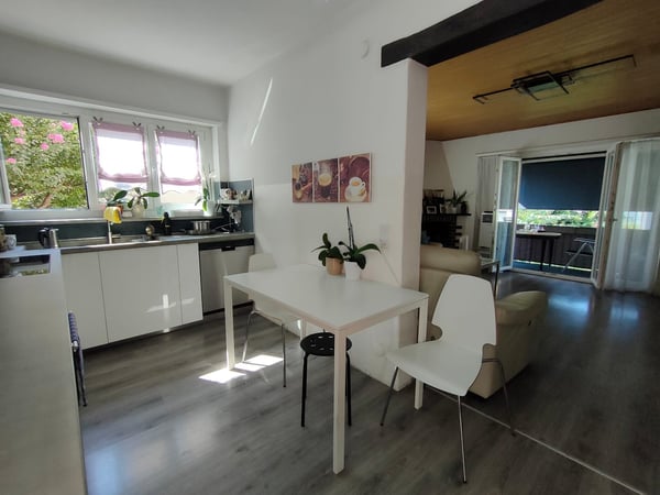 Casa bifamiliare in vendita a Lugano-Pregassona 3