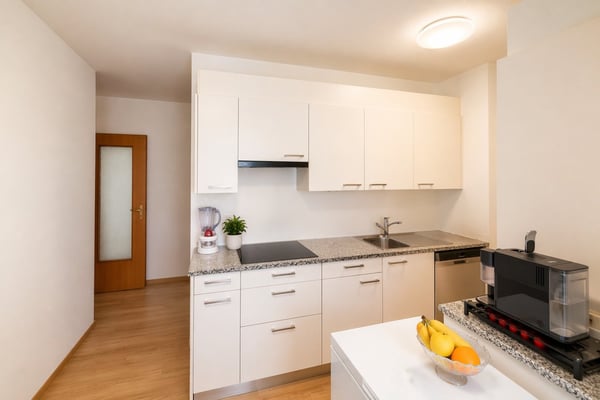 3.5 locali, ristrutturato con box privato, Paradiso AV096-22 5