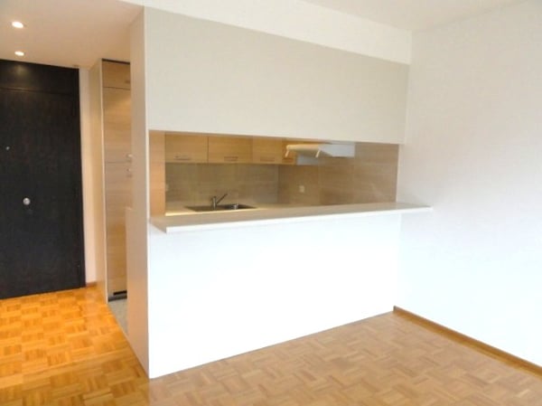 Centralissimo 2.5 locali nel cuore di Lugano 3