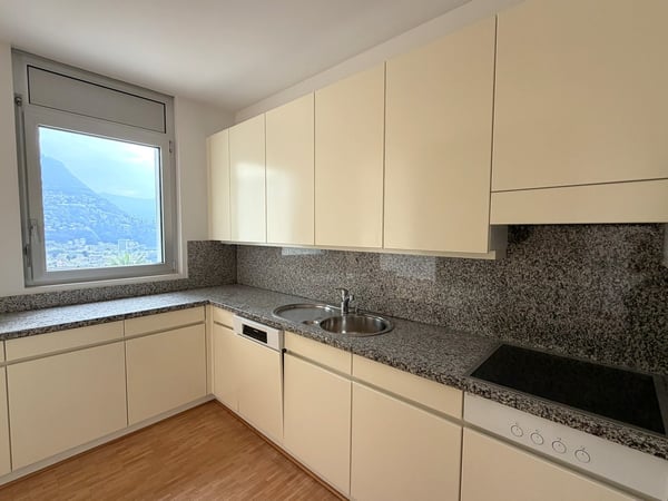 1.5 locali con terrazza e vista lago AA 112 9