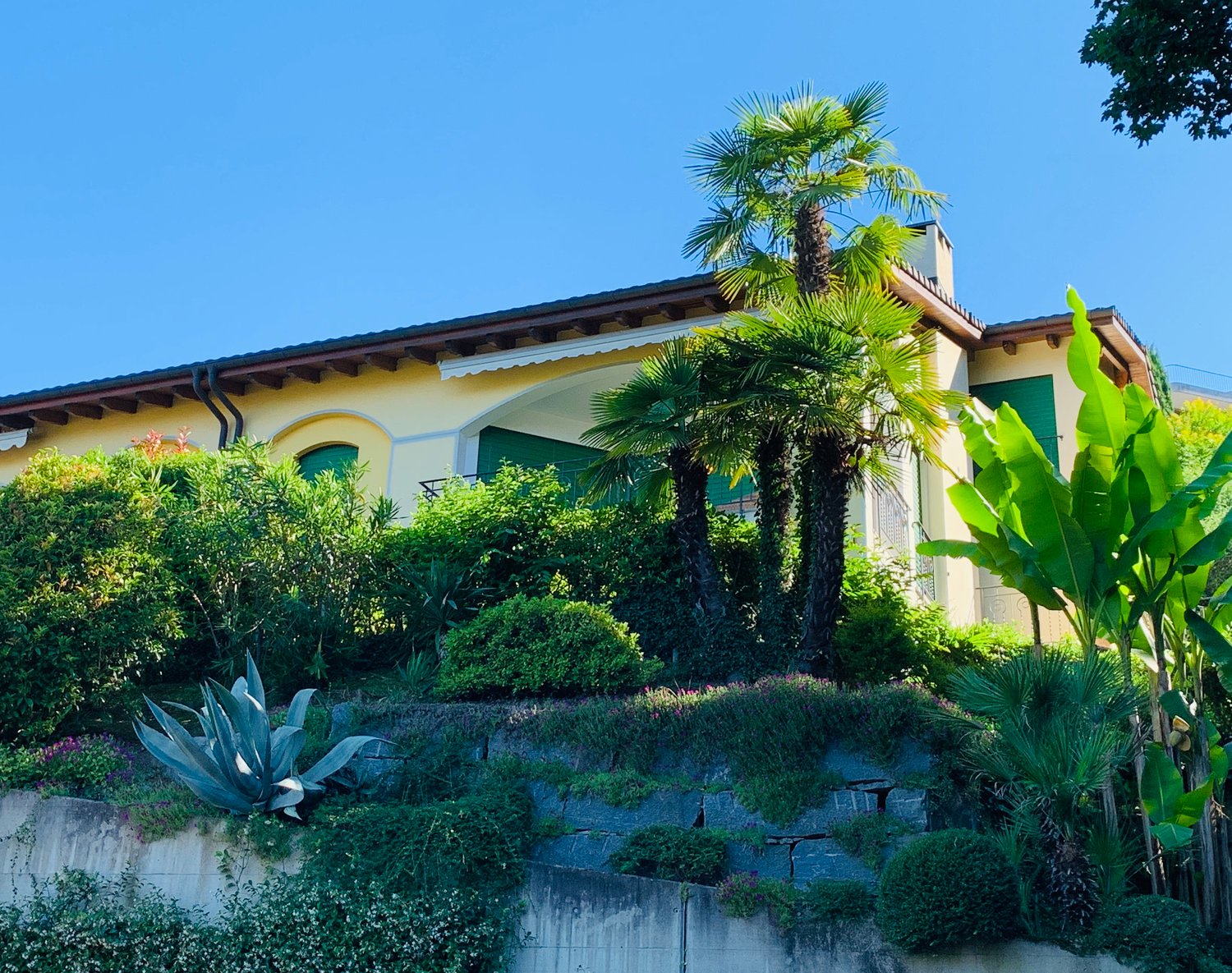 Terraced house with a raised ground floor and balcony, adorned with green windows and surrounded by plants, trees, and a stone wall.