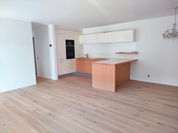 Bissone -  Esclusivo appartamento con giardino e vista mozzafiato sul Lago di Lugano 9