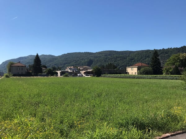 Terreno edificabile di facile accesso 10