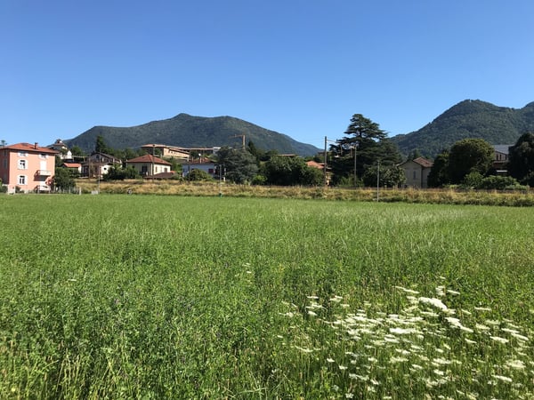 Terreno edificabile di facile accesso 14