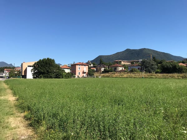 Terreno edificabile di facile accesso 12