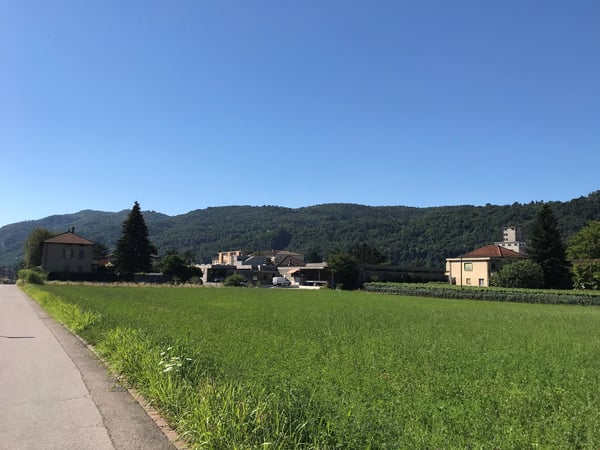Terreno edificabile di facile accesso 3