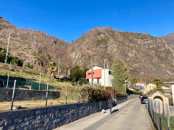 Terreno edificabile con vista aperta / Bauland mit Aussicht 4