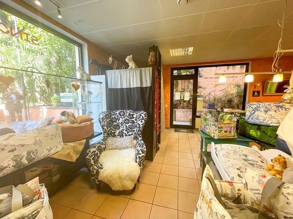 Opportunità di Investimento nel Cuore di Ascona 15