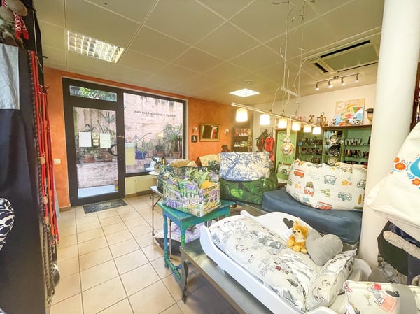 Opportunità di Investimento nel Cuore di Ascona 14