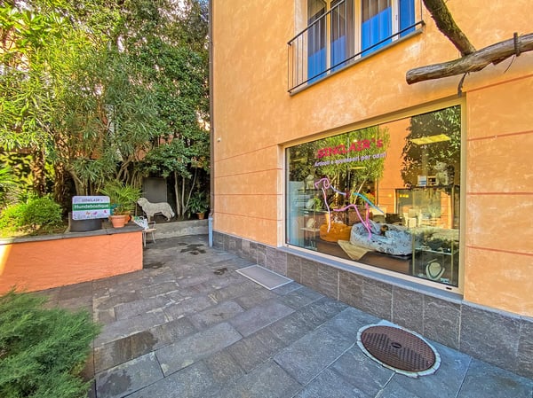 Opportunità di Investimento nel Cuore di Ascona 12