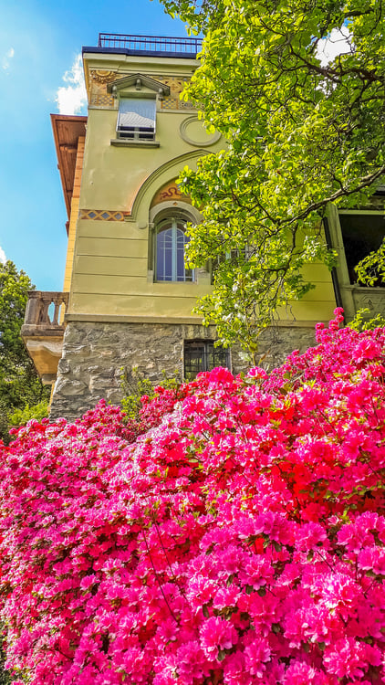 Historische Eleganz mit atemberaubendem Blick auf den Lago Maggiore 15