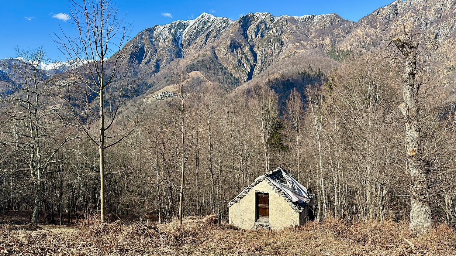 Small stone cabin in a forested mountain setting, with snow-capped peaks in the background