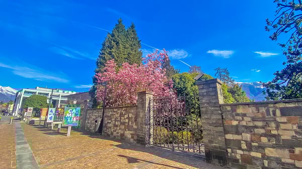 Elegante Negozio in Piazza Ascona 15