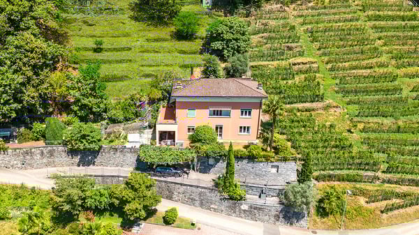 Sur le Lac Majeur, au Tessin, Maison des vacances avec vue panoramique 3