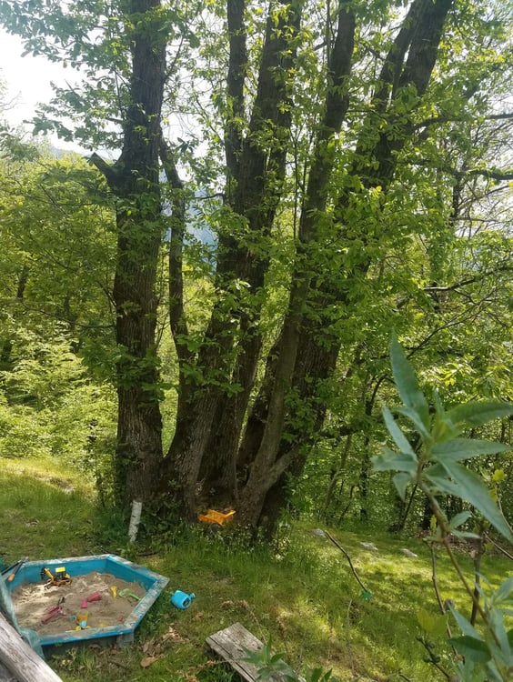 Charmante Rustico befindet sich in Scareglia, im Val Colla. Lugano 27