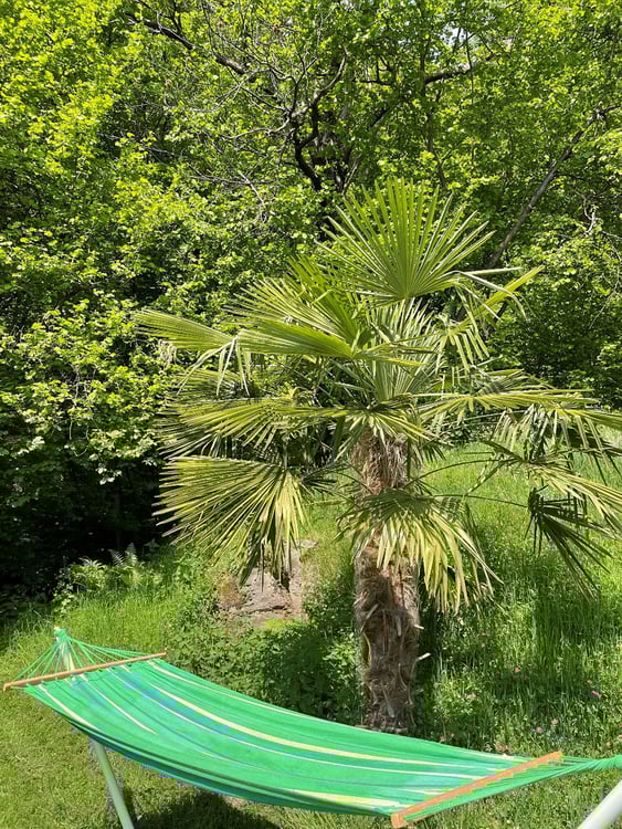 Charmante Rustico befindet sich in Scareglia, im Val Colla. Lugano 25