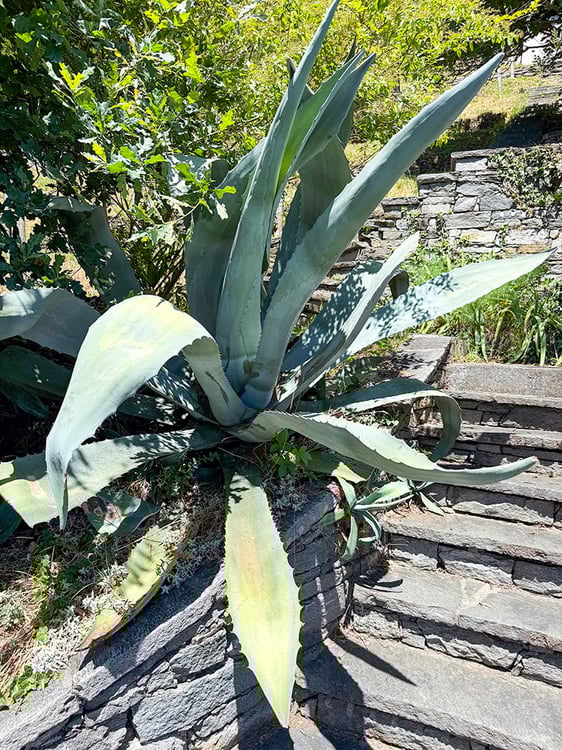 Sur le Lac Majeur, au Tessin, Maison des vacances avec vue panoramique 24