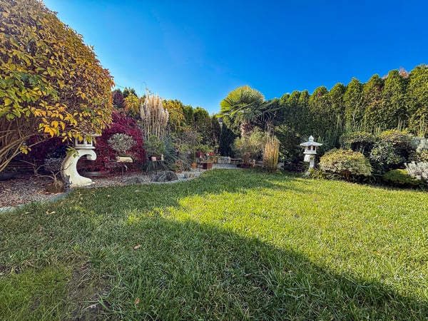 1.5 locali con splendido Winter Garden e giardino privato 3