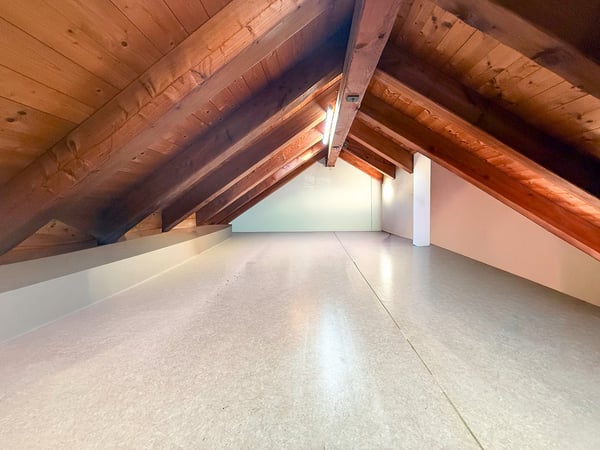 Typisches Tessiner Steinhaus voellig rennoviert 15