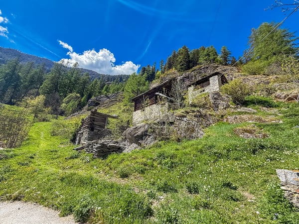 Lavizzara-Tal Rustico/Stallgebäude zur Renovation 3