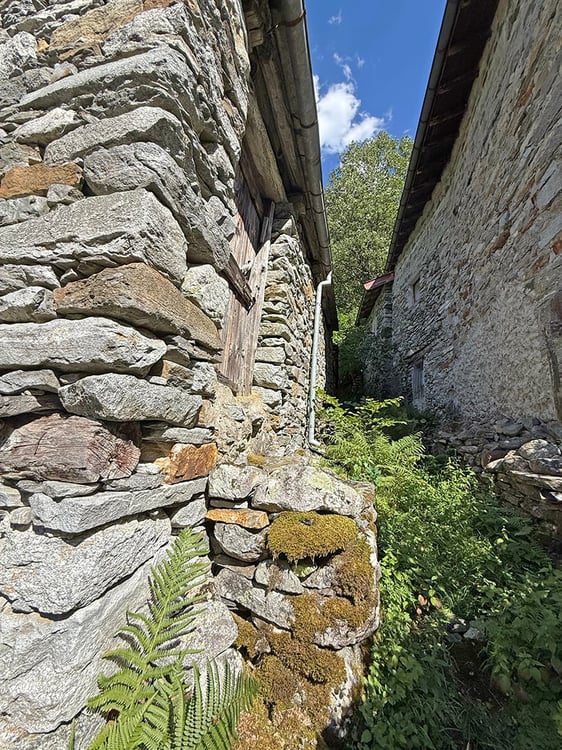 2 Rustici da ristrutturare con terreno 4