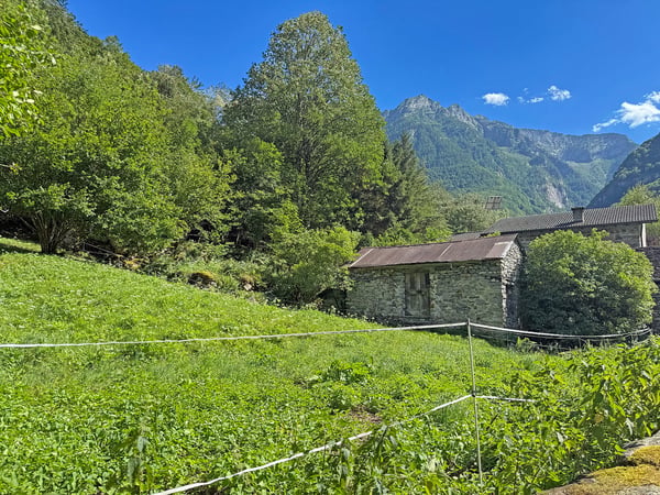 2 Rustici da ristrutturare con terreno 10