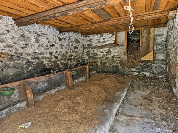 2 Rustici mit Land zum Renovieren 5