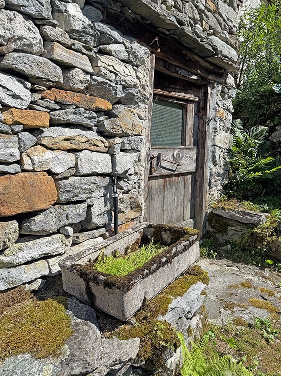 2 Rustici mit Land zum Renovieren 3