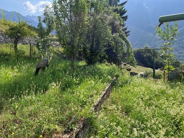 Casa unifamiliare di 7.5 locali a Marolta 31