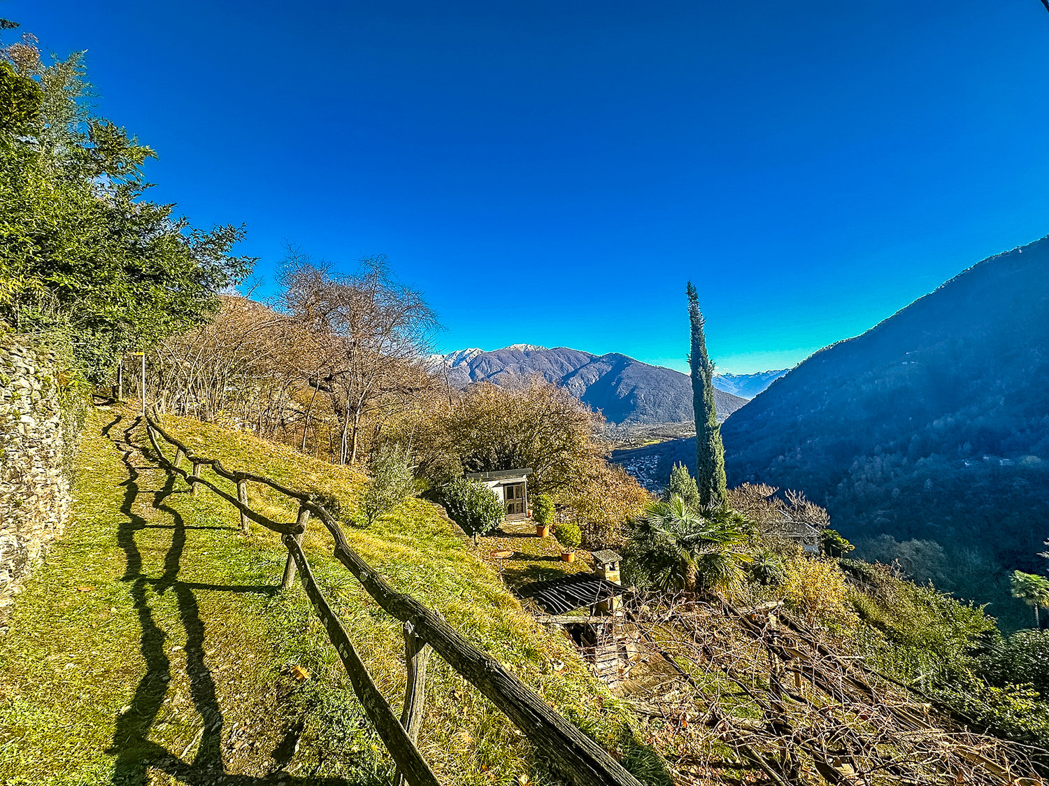 hillside garden with wooden fence, small house, plants, mountains in the background