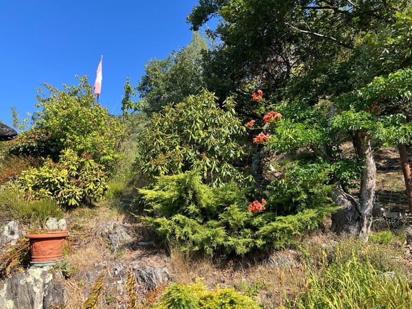 Ein Rückzugsort in den Tessiner Bergen – Rustico mit traumhafter Aussicht 6