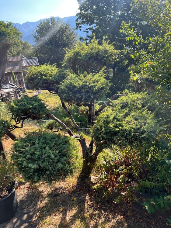 Ein Rückzugsort in den Tessiner Bergen – Rustico mit traumhafter Aussicht 16