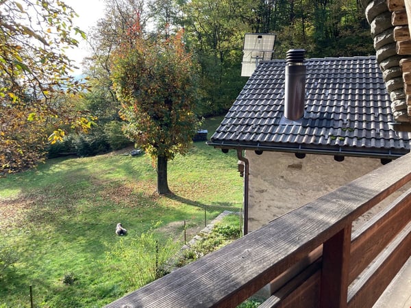 Brione s/Minusio, Val Resa - 2 Rustici con terreno, rinnovati 9