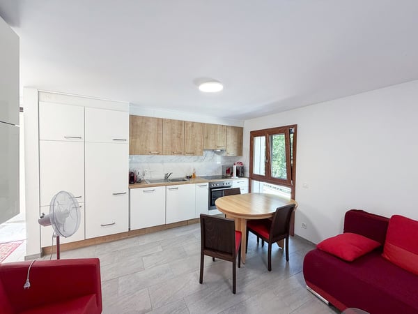 Casa con 4 appartamenti - Haus mit 4 Wohnungen - Vogorno 13