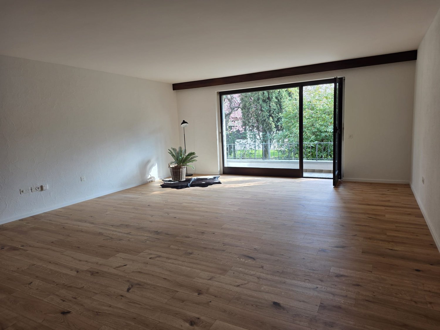 empty room, wooden floor, white walls, sliding glass door, balcony, potted plant, lamp