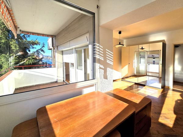 Interessante luminoso 1.5 ristrutturato con terrazza coperta 7