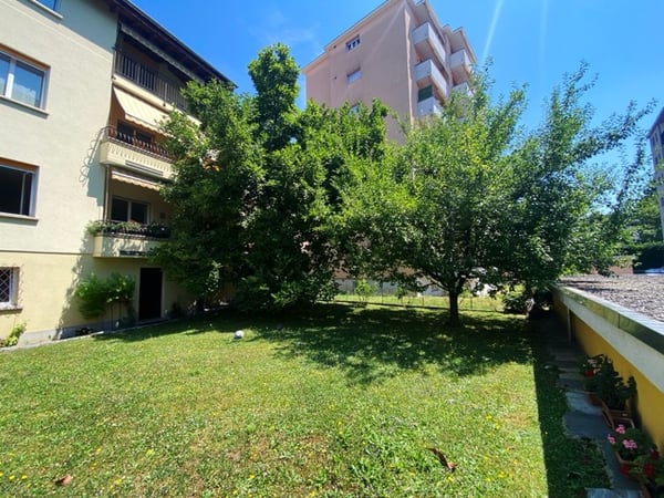 Bella casa trifamiliare con ampio giardino e taverna con camino 3