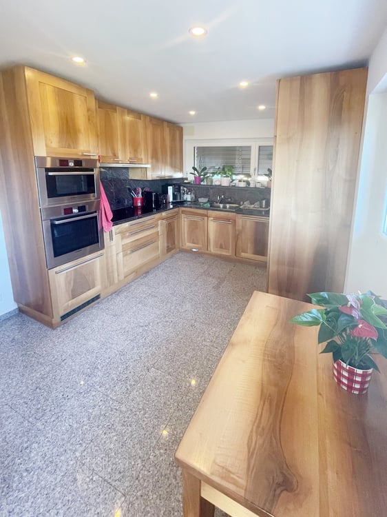 Casa 1.5 completamente ristrutturata con grande giardino e ampio fondo 7