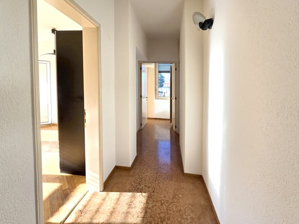 Interessante luminoso 1.5 ristrutturato con terrazza coperta 4