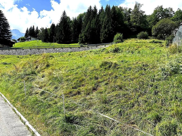Interessante terreno edificabile con vista panoramica e ampio spazio. 4