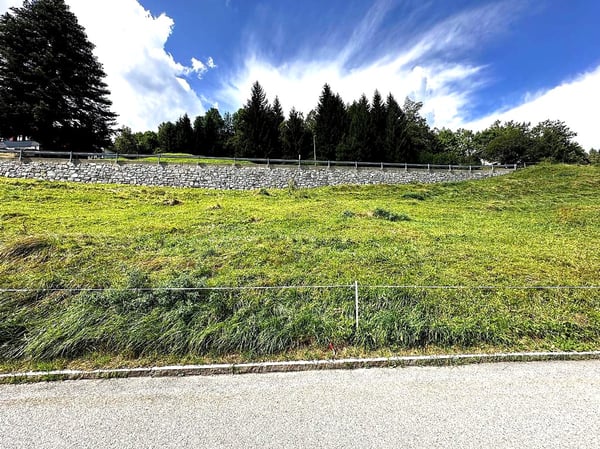 Interessante terreno edificabile con vista panoramica e ampio spazio. 5