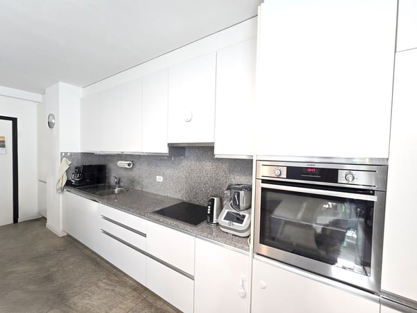 Bel 1.5 locali in stile moderno con grande terrazza coperta. 3