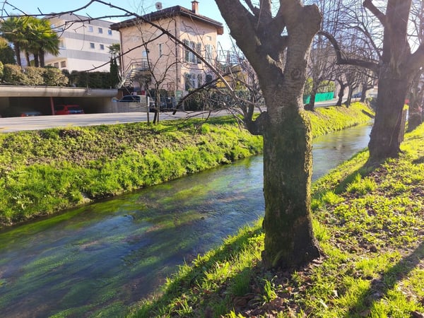 Raffinato 2.5 locali ristrutturato con balcone e cucina nuova. 6