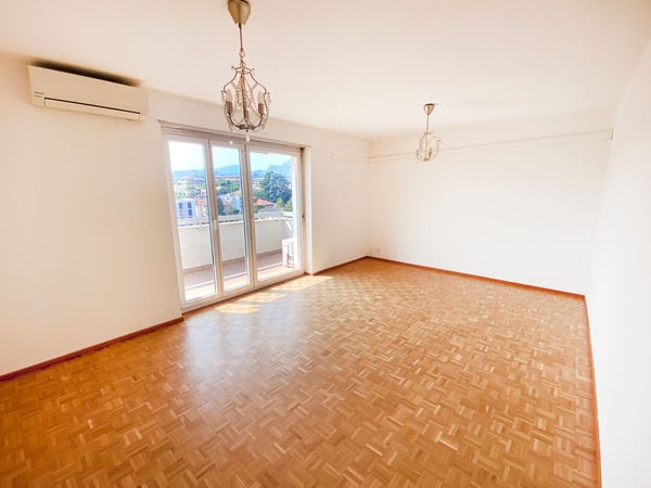 Splendido comodo 3,5 locali ristrutturato con terrazzo panoramico 2